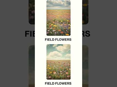 (1)PART-FIELD FLOWERS-2 SONGS-HIP HOP-BY SUNO AI MUSIC-ENGLISH LANGUAGE