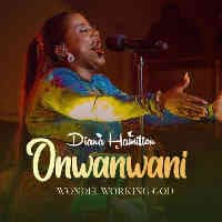 Diana Hamilton-OnwanwanI