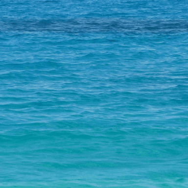 artist profile picture