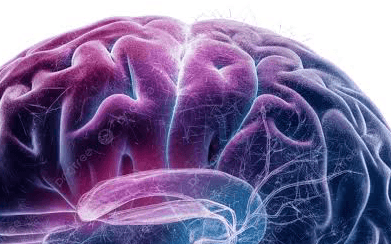 user cover image
